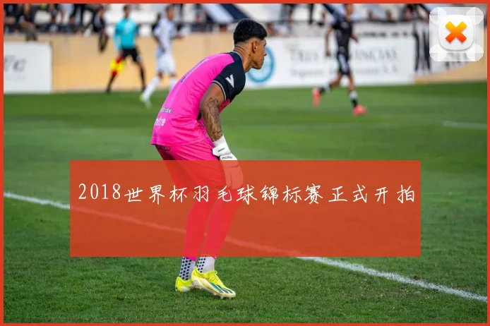 2018世界杯羽毛球锦标赛正式开拍
