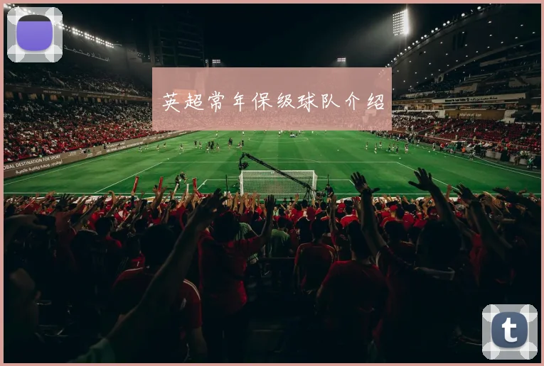 英超常年保级球队介绍